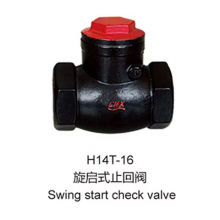 GB Swing Start Type Check Valve PN10 PN16 Grey Cast Iron HT200 Flange Metal Seal Factory Price Hot Selling Swing Check Valve thumbnail-6