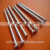 Iron Material Common Nail for Building Manufacturer