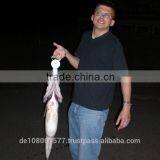 Best Quality Nylon Monofilament Fishing Lines 100% Made in Germany Bulk Spools 0.08-0.60mm HYPERSTRONG Clear thumbnail-5