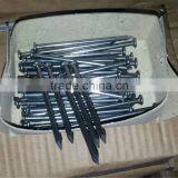 Electro Galvanized Common Wire Nail/common Iron Wire Nails/bright Common Nails Factory thumbnail-4