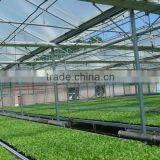 High Quality Polycarbonate Multi-wall Sheet thumbnail-1