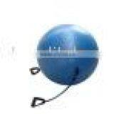 Gym Ball With Expender thumbnail-1