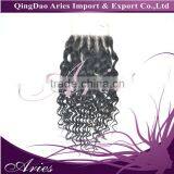 100% Unprocessed 50G 1 Bundle Virgin Indian Deep Wave Curly Hair Extension Weft thumbnail-3