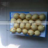 High Quality Fresh Ya Pear From Pear Factory thumbnail-1