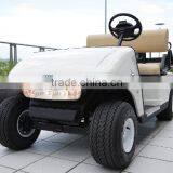 DK Custom Electric 2 Seat Golf Cart
