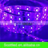 HOT SALE High Brightness DC12V 60LEDS/M UV LED Strip Light LED FLEXIBLE Light Smd5050