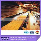 Chemical Resistant Conveyor Belt