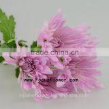 For Birthday Decoration Decor Chrysanthemum With 10 Stems/Bundle Mini Fresh Chrysanthemum With 0.5kg/Bundle Chrysanthemum Pink C thumbnail-3