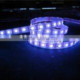 High Lumens Output Led Strip Light Rohs Led Strip Light