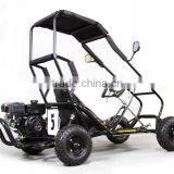 LWGK-50A Mini go Kart, 196cc Power ,Hydraulic Disc Brake,EPA thumbnail-1
