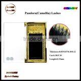 Eyelash Manufacturer Wholesale 0.05/0.07/0.10/0.12Korea Pandora Eyelash Extension/silk Camellia Lash Extension