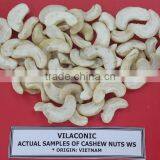 HIGH QUALITY VIETNAM CASHEW NUT thumbnail-2