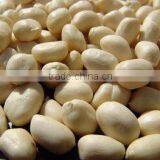 Blanched Peanut Kernels 2 x 12.5kgs Vaccum Packing thumbnail-1