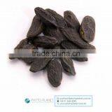 FAVA TONKA BEAN (ON SALE!)