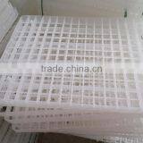 Plastic Incubator Quail Egg Tray