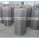 China Supplier 2x2 Welded Wire Mesh,low Price Galvanized Welded Mesh thumbnail-6
