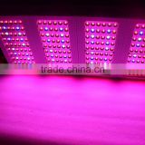Innovative products 300W for horticulture professional high intensity 5w chip led grow light
