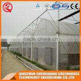 China Direct Plastic Greenhouse for Plant Tomato and Flowers thumbnail-3