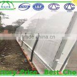 Commercial Climate Control Strawberry Greenhouse With Thermal System thumbnail-5