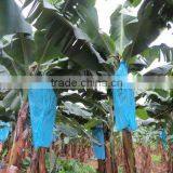 Plastic Weave Water Proof Tarpaulin for Irrigation thumbnail-3