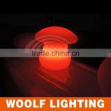 Modern Life Good Quality Waterproof IP65 LED Color Lamp Lighting thumbnail-3