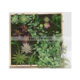 SJ0409032 Artificial Wall Plant Indoor Plastic Green Wall thumbnail-1