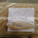 Frozen Yellow Croaker 55/75 G/pc thumbnail-2