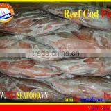 WHOLE ROUND FROZEN REEF COD FISH thumbnail-1