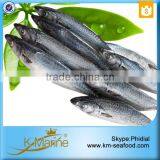 2015 Well Hot Sea Frozen Japanese Mackerel thumbnail-1