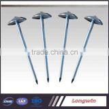 Iron Material Varnish Sprayed Farming Tools&Garden Tools Nail&Wire thumbnail-4