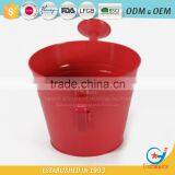 6 Inch Planters for Garden Plants Wide Shallow Plant Pots thumbnail-2