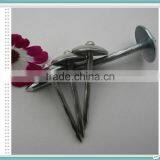 Umbrella Head Roofing Nails From China Supplier thumbnail-5