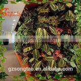 Artificial Green Grass Wall for Landscaping Entertainment Adornment Indoor Outdoor Flooring thumbnail-2