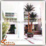 Guangzhou Songtao Customize Top Quality Fake Artificial Indoor Washington Palm Trees thumbnail-4