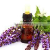 Sage Oil thumbnail-2