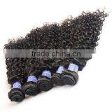 2016 New Products on China Market, Mongolian Virgin Hair, Mongolian Kinky Curly Hair thumbnail-6
