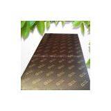 Construction Plywood Supplier-GIGA Factory thumbnail-3