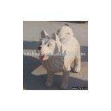 Dog Carving (animal Carving,grantie Sculpture) thumbnail-1