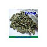 Super High Quality Dried Pumpkin Seed in Low Price