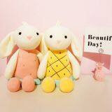 FRUIT RABBIT thumbnail-2