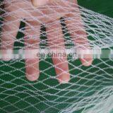 Protect Bird Netting/bird Nets for Sale/mist Nylon Bird Net thumbnail-6
