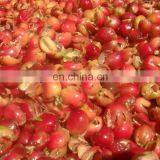 Discount Price Coffee Beans Husker/ Coffee Hulling Degumming Machine thumbnail-3