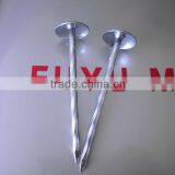 Galvanized Corrugated Roofing Nails With Umbrella Head