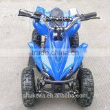 New Design 49cc Allterrain Vehicle ATV,quad Bike, Mini Atv, New Pruduct