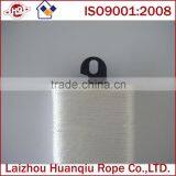 Top Quality Polyester High Tensity Twine,twisted Polyester Twine
