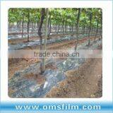 Silver on Black Mulch Film, Silver Mylar Film thumbnail-2
