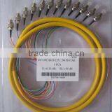 12 Core sc Optical Pigtai/optical Fiber Pigtail