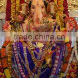 3d PET India God Picture