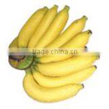Organic Fresh Bananas Kluai Hom Variety thumbnail-1