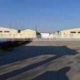 Qingdao Colorful World International Trade Co., Ltd. company overview - view 3 thumbnail